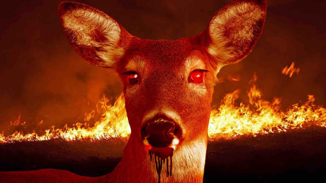 ‘Zombie deer disease’ has impacted wildlife in 24 states, Report Star Mag