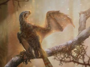 bat winged dinosaur