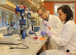 Researchers Experiment Storing Data With ‘DNA Fountain’ Researchers Experiment Storing Data With 'DNA Fountain'