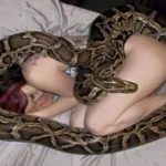 This Woman Sleeps With Her Snake Every Night, But What The Vet Told Her Is Terrifying