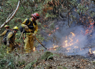 The Latest: Officials report progress in stopping blazes (Report)