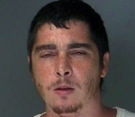 Long Island man accused of sex with multiple horses (Report)