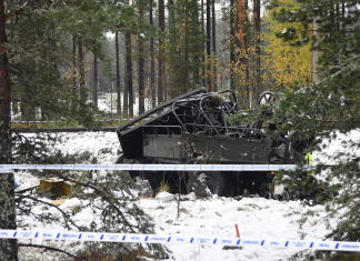 3 killed in Finnish train crash had sat on truck's deck (Report)