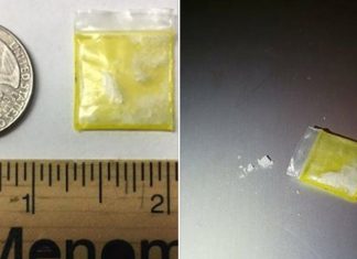 Meth packet found in Wisconsin trick-or-treater's bag (Report)