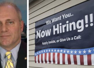 Scalise: Let's lower everyone's taxes, bring jobs back to US (Report)