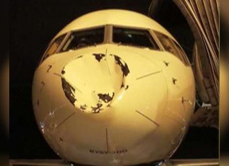 Charter plane carrying Oklahoma City Thunder damaged in mid-air collision … with bird? (Report)