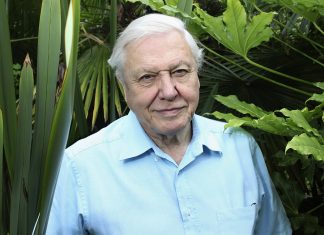 Sir David Attenborough reveals his plans to reach the age of 100 (Report)
