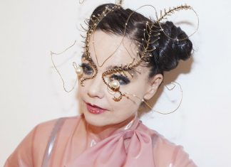 Björk lends voice to #MeToo campaign to detail sexual harassment at hands of Danish director (Report)