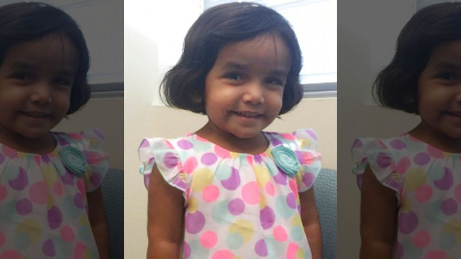 Police in Texas believe they have found the body of missing 3-year-old Sherin Mathews, but won’t identify the body until there is a positive identification by proper officials. 