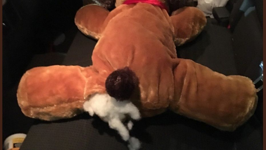 U.S. Customs and Border Protection agents found nearly 2 pounds of methamphetamine in a stuffed toy dog.