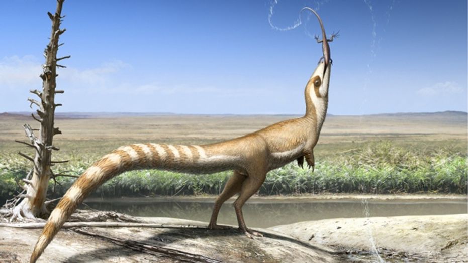 Sinosauropteryx's plumage pattern suggests it lived in an open habitat 130 million years ago (artist's impression). (Credit: Robert Nicholls)
