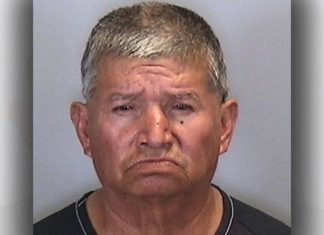 Florida ice cream man, 66, accused of sexually assaulting 7-year-old girl (Report)