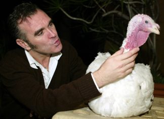 Morrissey teams up with PETA for ‘Holidays Are Murder On Turkeys’ campaign (Report)