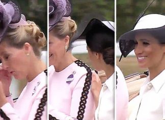 UK: Meghan Markle: Sophie of Wessex and Meghan Markle ATTACKED by bug during Royal Ascot | Royal | News