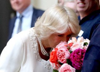UK: Camilla gets stuck in bunch of roses during BUSY day for Duchess of Cornwall | Royal | News