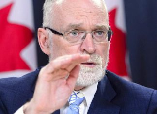 Union calls for public inquiry into Phoenix pay debacle (Details)