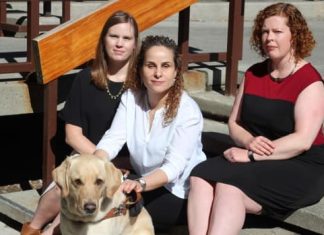 Health: Road safety advocates want next city council to ‘step up,’ boost cycling network and traffic calming measures (Report)