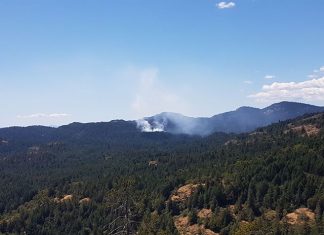 Crews working to extinguish brush fire between Colwood and Sooke, Reports