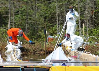 Deliberate spill carried out to test crude and bitumen impact on lake life (Details)