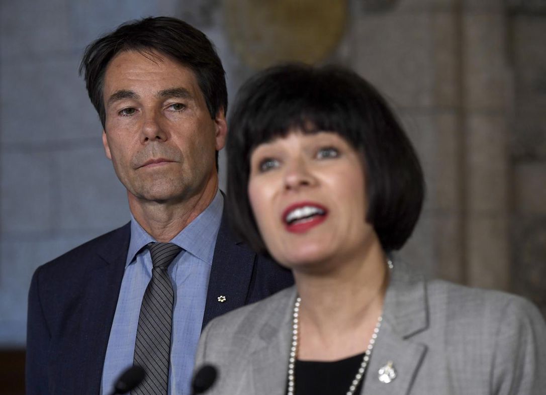 Minister of Health Ginette Petitpas Taylor, right, and Eric Hoskins announced the new council on Wednesday.