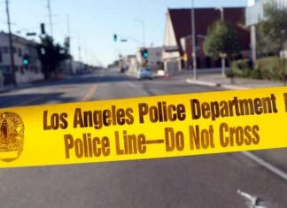 Toronto real estate tycoon’s son who wrote novel about evil convicted of murder (Report)