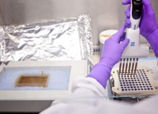 Health: Analyzing the ick factor: U of A study looks at deterrents to being a poop donor (Report)