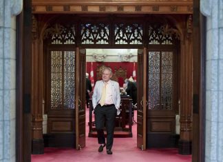 Senate passes bill to legalize recreational cannabis (Details)