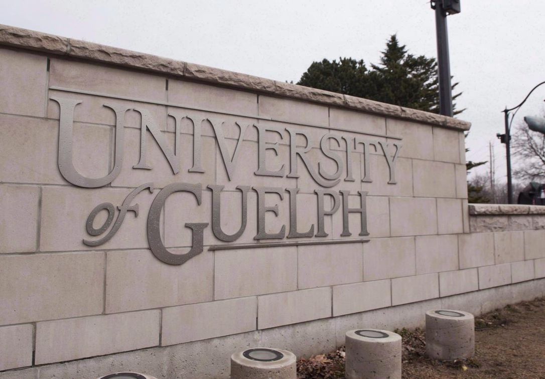 All full-time female faculty members at the University of Guelph will be getting a raise after a salary review found they were being paid less than their male colleagues.