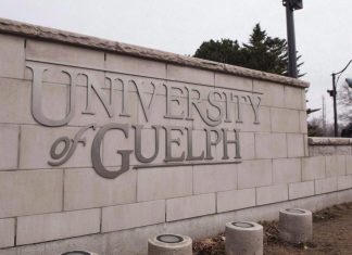 University of Guelph giving raises to full-time female faculty after review (Details)