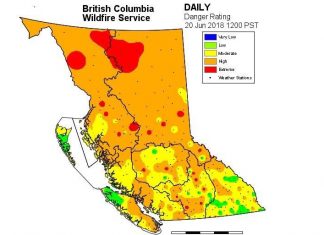 Kamloops residents evacuated after possibly lightning-caused grass fire (Details)