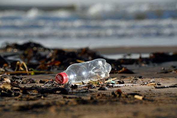 Soda bottle on a beach