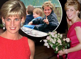 UK:Heartwarming moments celebrated on Diana’s 57th birthday | Royal | News