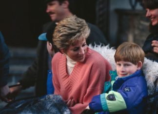 Prince Louis Christening: Prince Harry buys gift with Princess Diana link | Royal | News (Details)