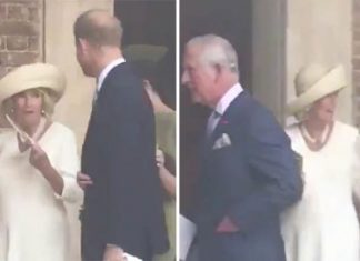 Camilla can’t cope with the heatwave as she attends Prince Louis christening with Charles | Royal | News (Details)