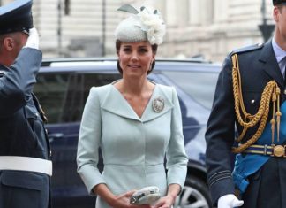 Kate Middleton makes SURPRISE appearance for RAF 100 flypast as she breaks maternity leave | Royal | News (Details)