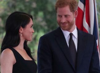 The look of LOVE: Meghan Markle GAZESinto Prince Harry’s eyes at Dublin summer party | Royal | News (Details)