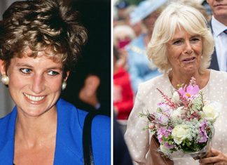 Princess Diana fans ATTACK Camilla on her BIRTHDAY ‘You’ll never be our Queen!’ | Royal | News (Details)