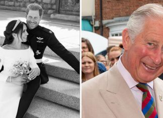 Prince Charles shares photograph of Prince Harry and Meghan’s Royal Wedding | Royal | News (Details)