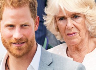 Prince Harry thinks Camilla is NOT a wicked stepmum and we should feel SORRY for | Royal | News (Details)
