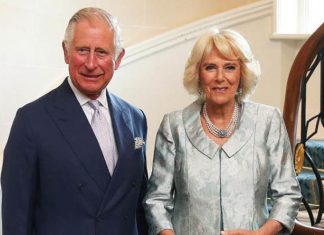 Why Camilla will be the perfect Queen by former Palace aide | Royal | News (Details)