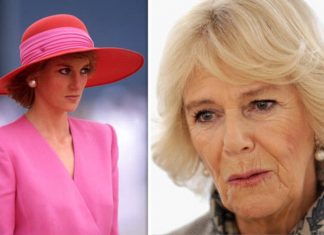 Princess Diana: Moment Diana confronted Camilla about affair with Prince Charles – WATCH | Royal | News (Details)