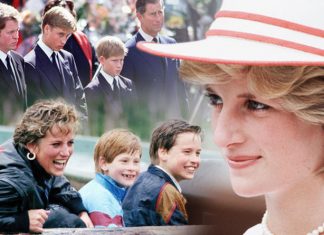 Princess Diana: ‘I want to be NORMAL’ – former royal bodyguard reveals Diana’s true wish | Royal | News (Details)