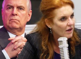 Sarah Ferguson’s love affair with Andrew: Fergie faces shock question – anything going on? | Royal | News (Details)