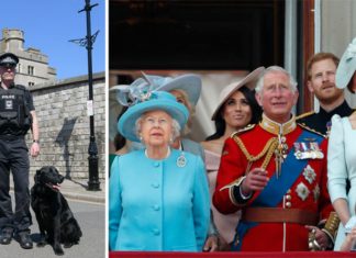 Royal news: Princess Diana’s ex-bodyguard says Royal family AT RISK due to cost-cutting | Royal | News (Details)