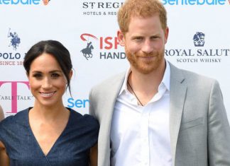 Meghan Markle news: Has Meghan got a new dog and what breed is it? | Royal | News (Details)