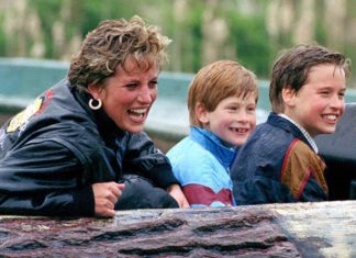 Princess Diana death anniversary: Heartfelt moments with William and Harry in pictures | Royal | News (Details)