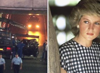 Princess Diana news: Firefighter who tried to save her reveals Diana’s dying words | Royal | News (Details)