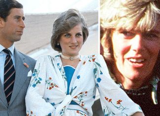 Princess Diana: Camilla sent Charles cufflinks with entwined Cs on honeymoon with Diana | Royal | News (Details)