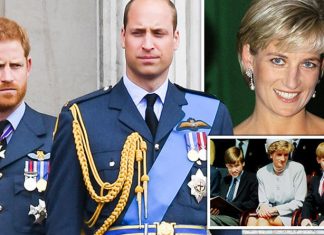 Princess Diana death to be mourned in private by Prince William and Harry | Royal | News (Details)