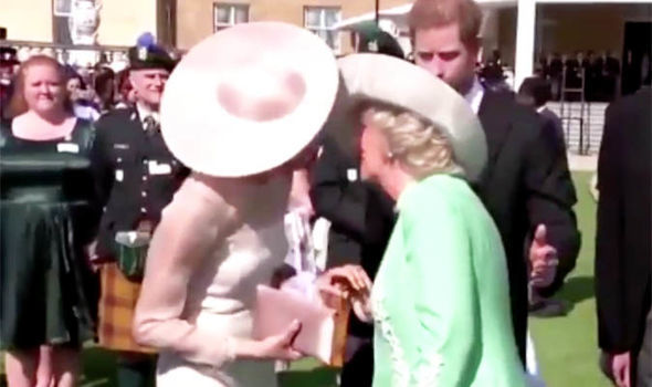 Meghan and the Duchess of Cornwall touching hands